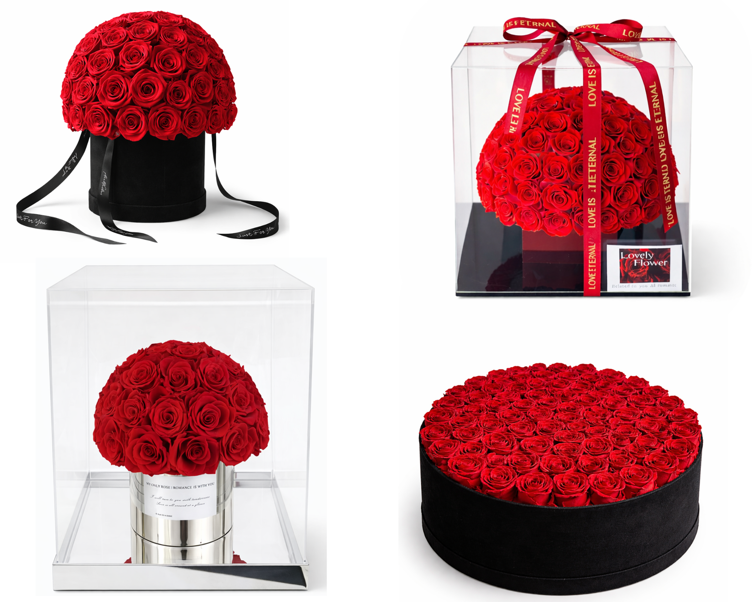 The Eternal Bloom × Antwerp Roses Collection