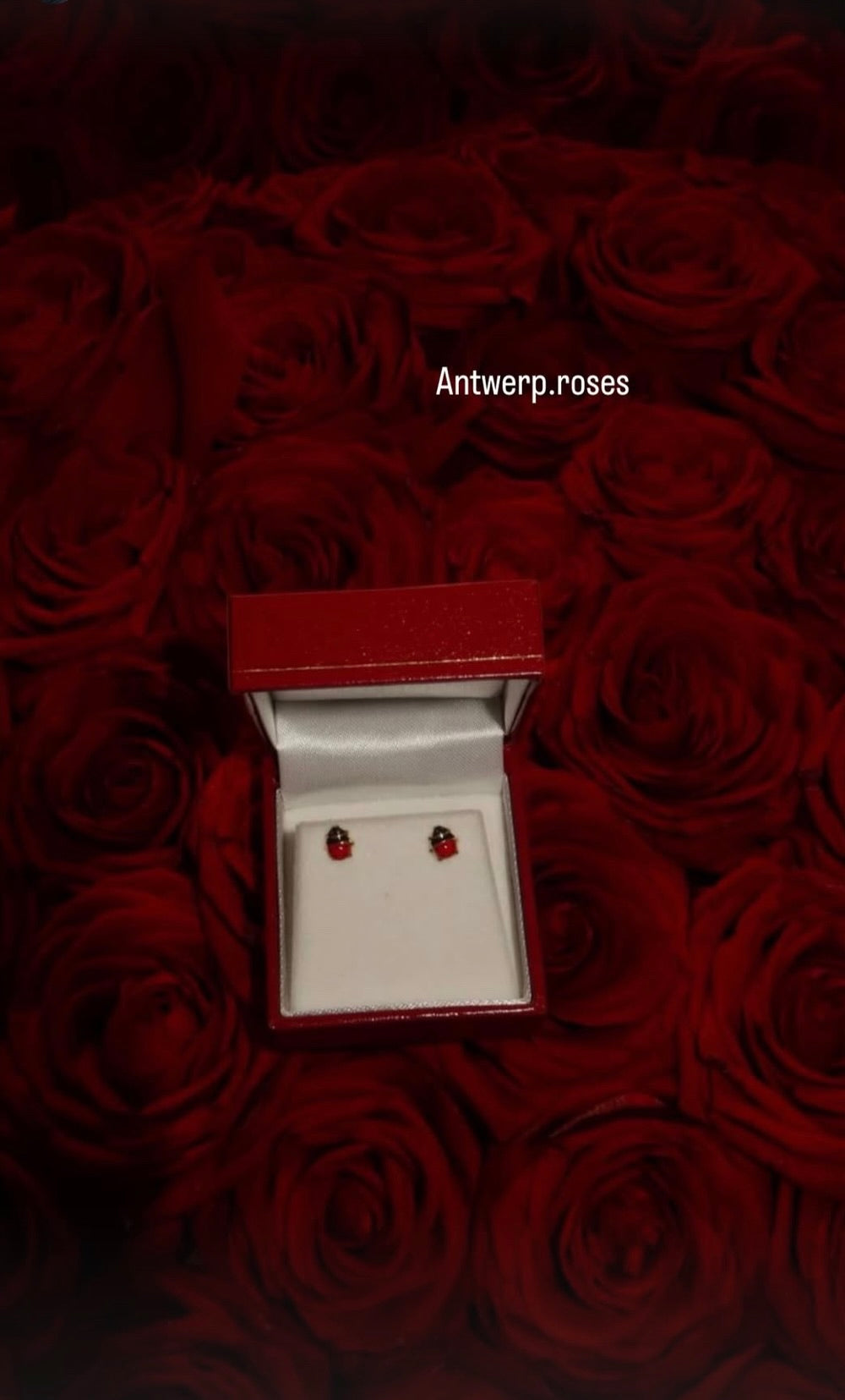 Red Naomi · Real Roses