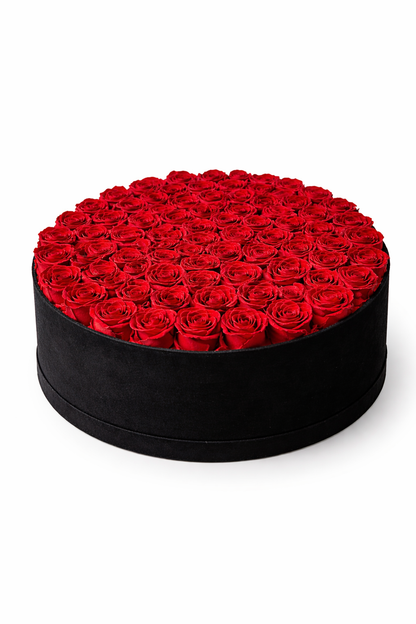 Eternal Velvet Rose Box – 99 Roses🌹
