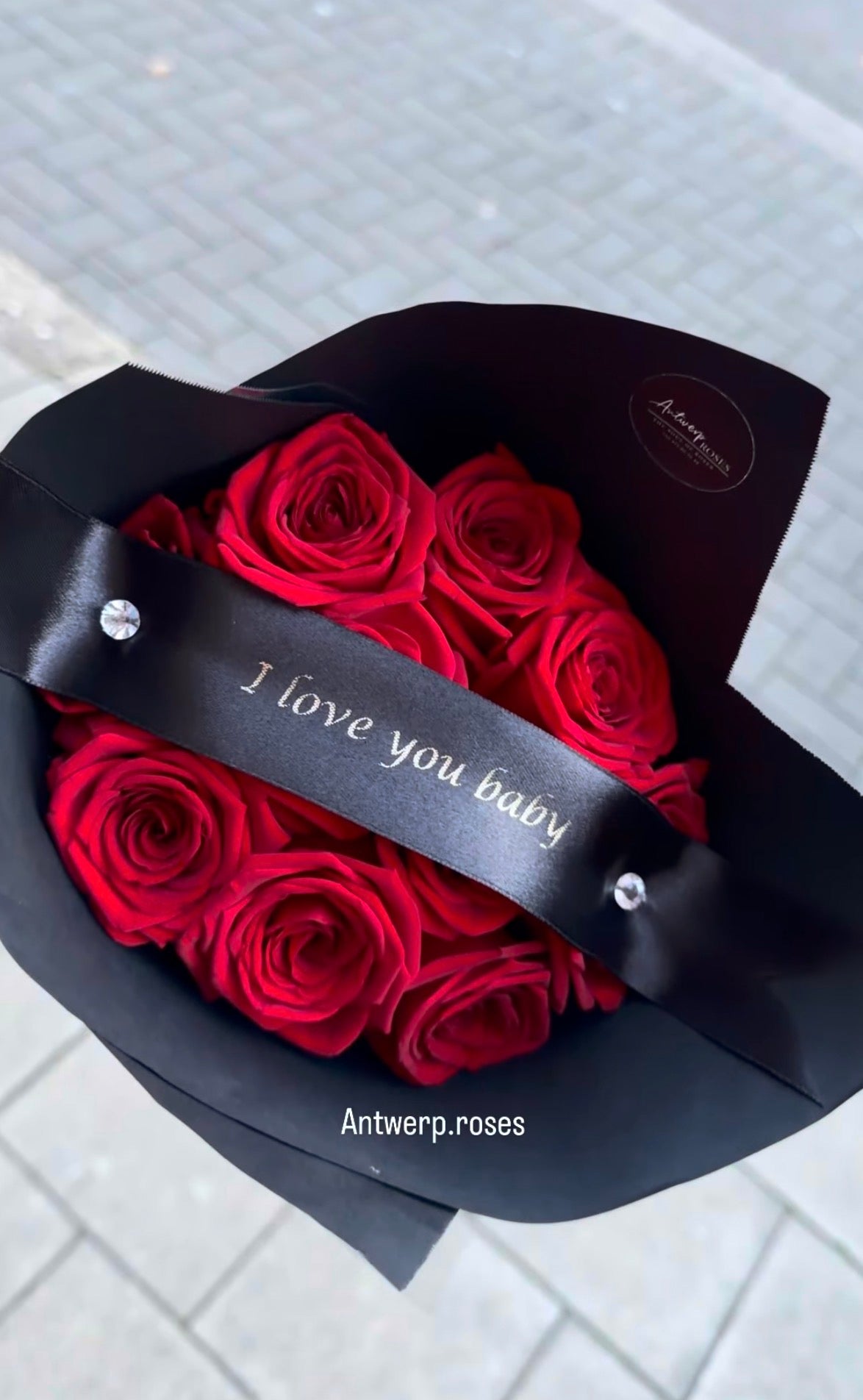 Antwerp Premium Roses