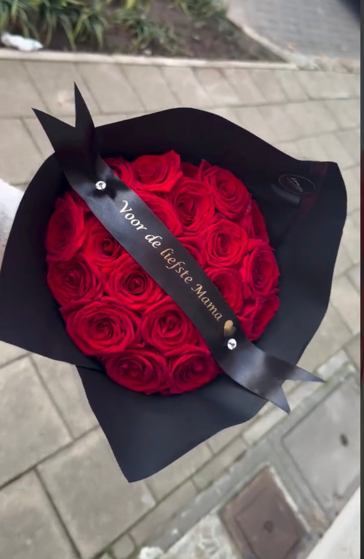 Antwerp Premium Roses