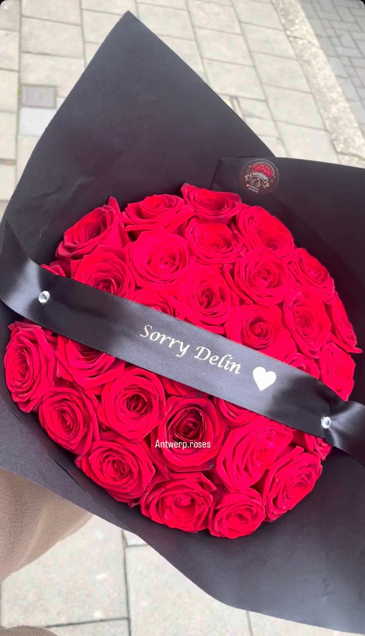 Antwerp Premium Roses
