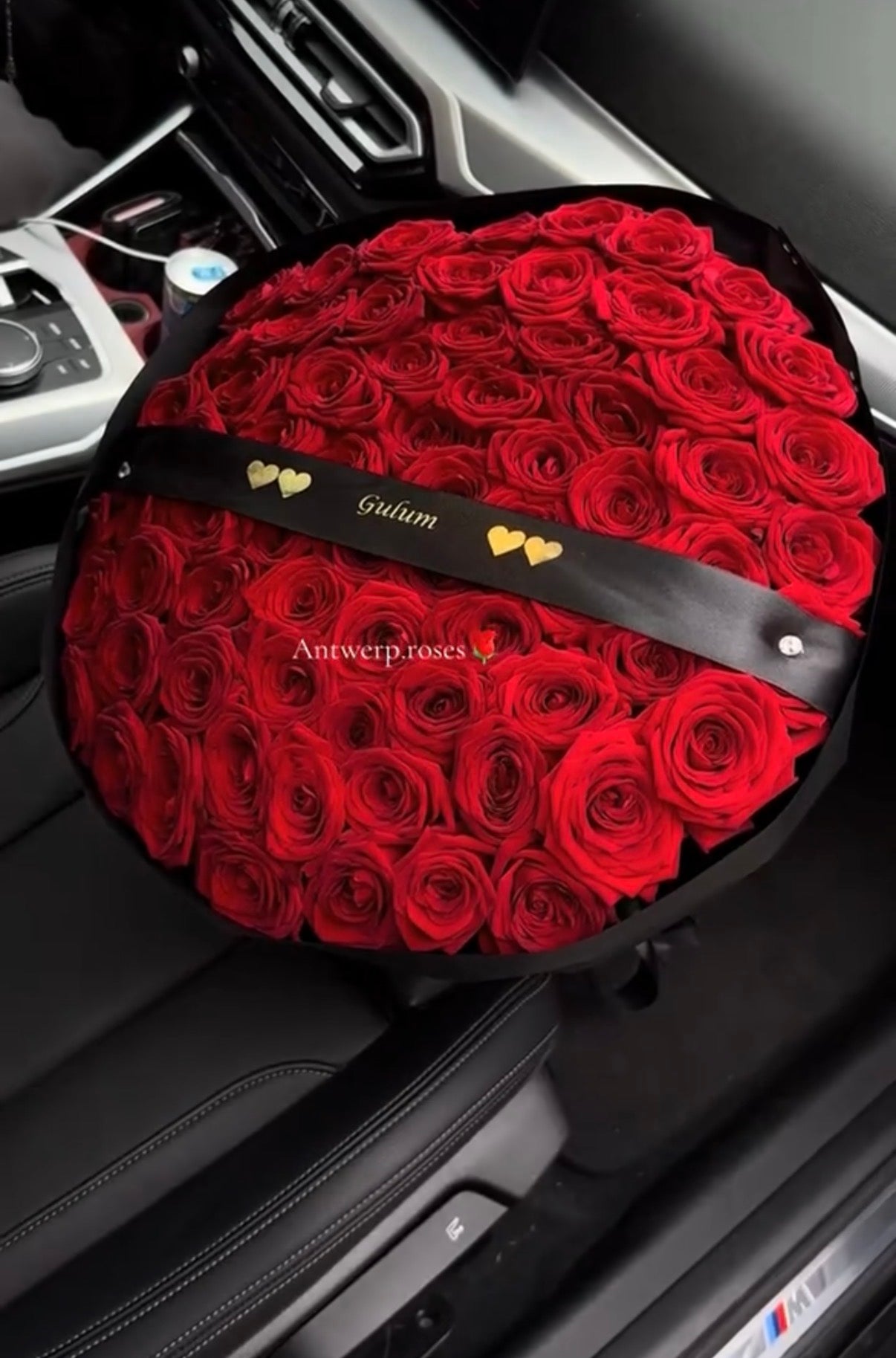 Antwerp Premium Roses