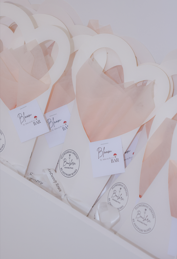 Heart bags ( NEEDED FOR THE BLOOMBAR) 10 stuks