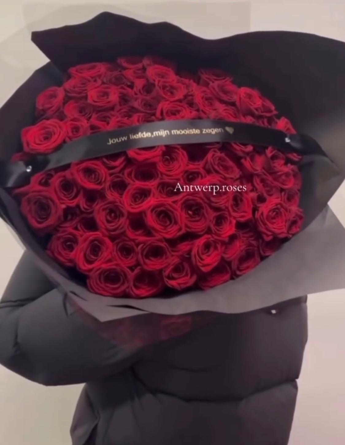 Antwerp Premium Roses