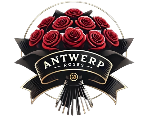 Antwerproses